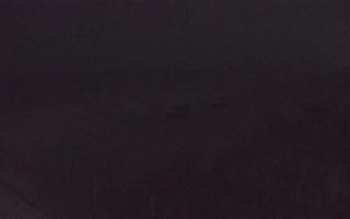 Dębki wschód - 03-11-2025 00:27