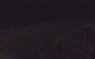 Dębki wschód - 13-12-2025 16:57