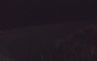 Dębki wschód - 13-12-2025 17:11