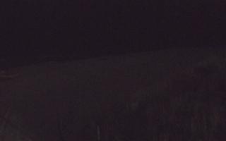 Dębki wschód - 13-12-2025 17:54