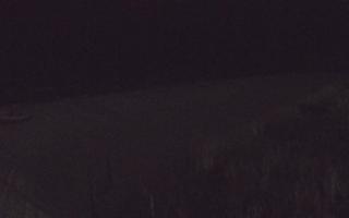 Dębki wschód - 13-12-2025 18:09