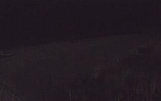 Dębki wschód - 13-12-2025 18:23