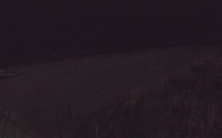 Dębki wschód - 13-12-2025 18:37