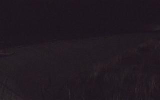 Dębki wschód - 13-12-2025 19:35