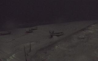 Dębki wschód - 28-01-2026 03:09