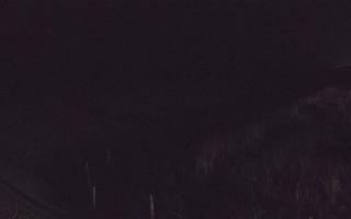 Dębki wschód - 14-03-2026 01:24