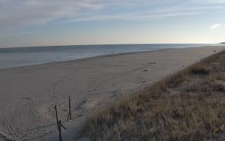 Dębki wschód - 14-03-2026 06:41