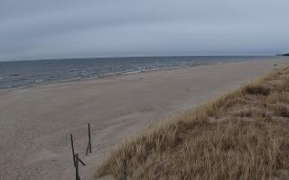 Dębki wschód - 15-03-2026 16:08