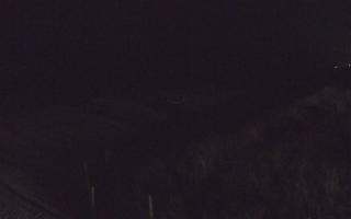 Dębki wschód - 12-04-2026 22:04