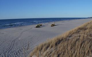 Dębki wschód - 28-04-2026 17:01