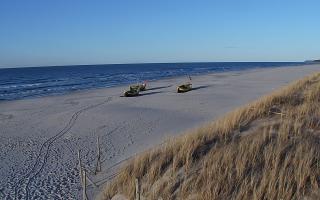 Dębki wschód - 28-04-2026 17:15