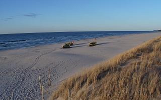 Dębki wschód - 28-04-2026 17:30