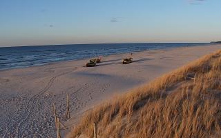 Dębki wschód - 28-04-2026 17:44