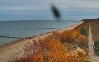Dziwnów plaża - wschód - 01-11-2025 14:54