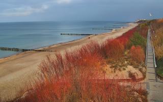 Dziwnów plaża - wschód - 02-12-2025 13:16