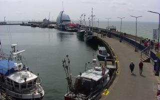 Hel Bulwar - port - 17-06-2025 11:20