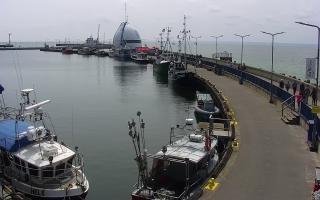 Hel Bulwar - port - 17-06-2025 11:31