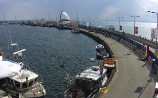 Hel Bulwar - port - 02-08-2025 14:00