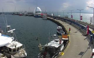 Hel Bulwar - port - 02-08-2025 14:06
