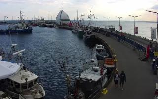 Hel Bulwar - port - 02-08-2025 15:23