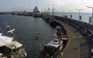 Hel Bulwar - port - 02-08-2025 15:41