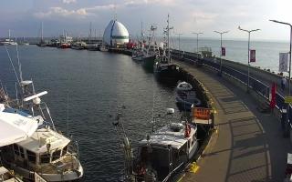 Hel Bulwar - port - 02-08-2025 16:16