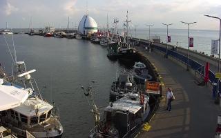 Hel Bulwar - port - 02-08-2025 16:58