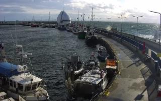 Hel Bulwar - port - 16-09-2025 14:42