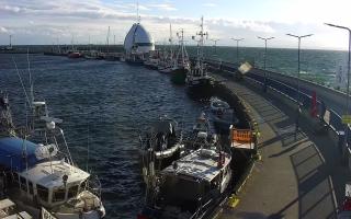 Hel Bulwar - port - 16-09-2025 15:05