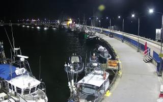 Hel Bulwar - port - 16-09-2025 20:13
