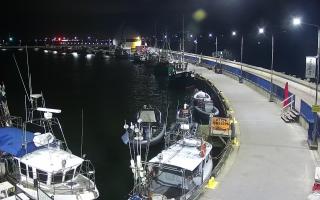 Hel Bulwar - port - 17-09-2025 01:38
