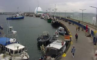 Hel Bulwar - port - 17-09-2025 11:00