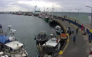 Hel Bulwar - port - 17-09-2025 11:24