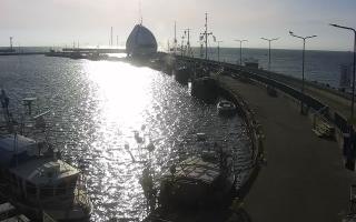 Hel Bulwar - port - 01-11-2025 11:47