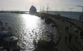 Hel Bulwar - port - 01-11-2025 11:53