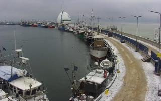 Hel Bulwar - port - 30-01-2026 10:34