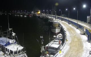 Hel Bulwar - port - 30-01-2026 19:03