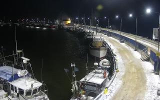 Hel Bulwar - port - 30-01-2026 20:02