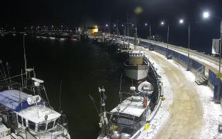 Hel Bulwar - port - 30-01-2026 23:23
