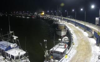 Hel Bulwar - port - 30-01-2026 23:47