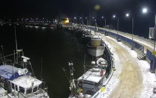 Hel Bulwar - port - 30-01-2026 23:52
