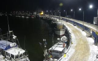 Hel Bulwar - port - 31-01-2026 00:28