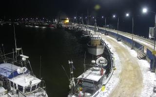 Hel Bulwar - port - 31-01-2026 01:09