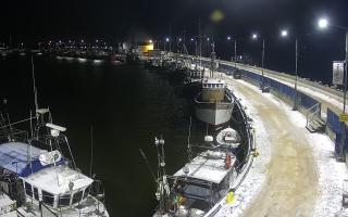 Hel Bulwar - port - 31-01-2026 01:39