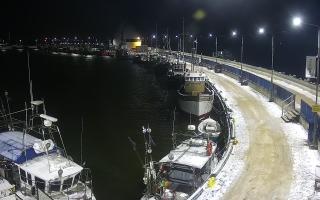 Hel Bulwar - port - 31-01-2026 01:57
