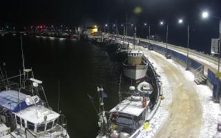 Hel Bulwar - port - 31-01-2026 02:08