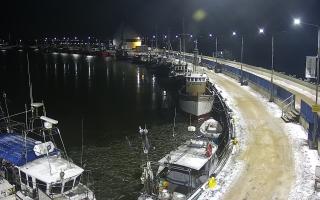 Hel Bulwar - port - 01-02-2026 17:29