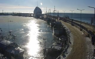 Hel Bulwar - port - 02-02-2026 12:18