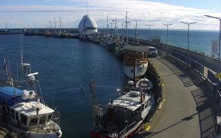 Hel Bulwar - port - 28-04-2026 15:05