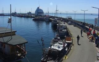Hel Bulwar - port - 01-05-2026 12:00